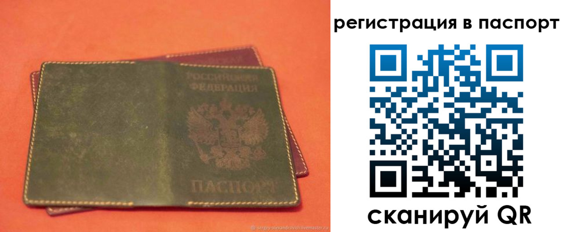 прописка для школы в Хабаровске